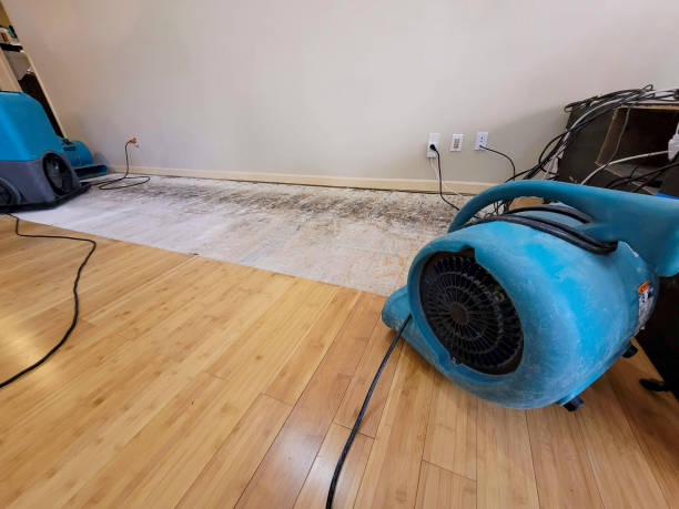 Professional Water Damage Repair technician working in Lakeside, CA